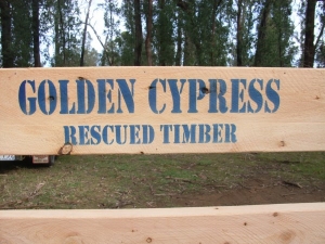 Golden Cypress Rescued Timber